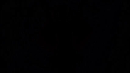 Selena Gomez& The Scene- Naturally (официално музикално видео!)