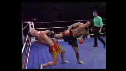 Taekwondo Vs Muay Thai