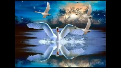 Swan - Aaron Neville-- Pledging My Love