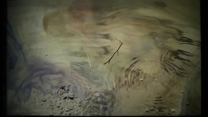 The Wands - Hello I Know The Blow You Grow Is Magic