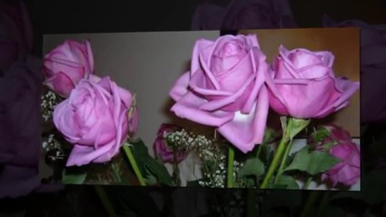 Wedding _ Invitation