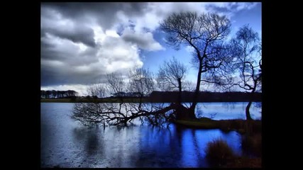 Blue Rain