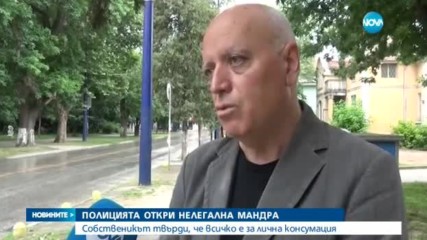 Новините на NOVA (17.06.2017 - централна емисия)