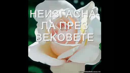 Настроения - 12