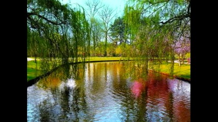 красиви пейзажи - релакс