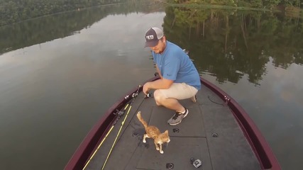 Рибари от Алабама спасиха две котета