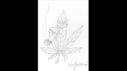 King Size - Puf Paf