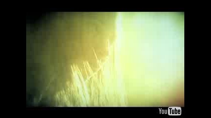 Rise Against - The Good Left Undone Closed