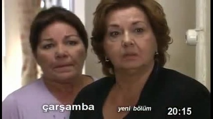 Yaprak D