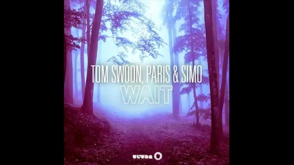 *2014* Tom Swoon, Paris & Simo - Wait