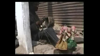 Street Musician In Dharamsala