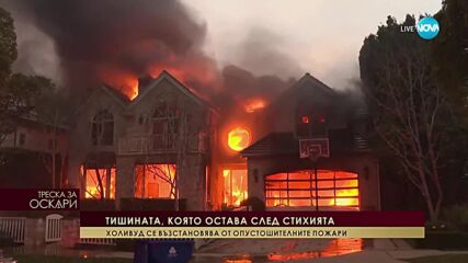Снахата на легендата Антъни Куин – с ексклузивен разказ за пожарите в Калифорния