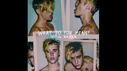 *2015* Justin Bieber - What Do You Mean ( Jerome Price remix )