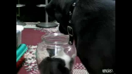 Когато е защитена е силна