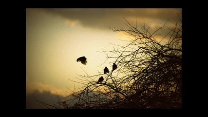 [goa trance] California sunshine - Coming Home