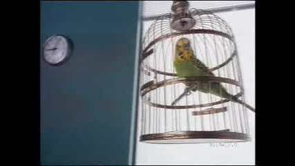 Funny Dhl commercial