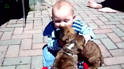 Кучета обичат бебета ( Забавна Компилация )