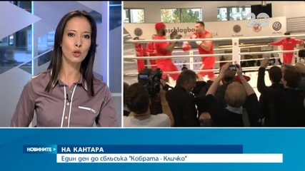 Един ден до сблъсъка Кобрата - Кличко