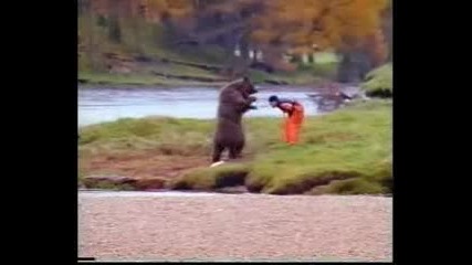 Мечка и човек си раздават юмруци 
