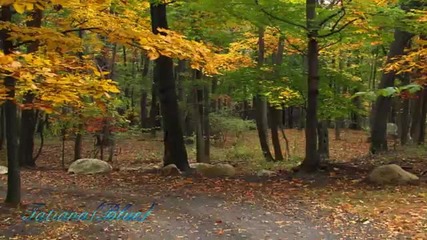 Chris Spheeris - Solitary Road ...