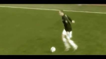 Wayne Rooney and Dimitar Berbatov