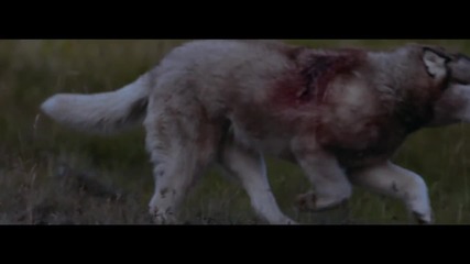 David Guetta - She Wolf (berffonet0)