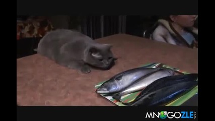 Живота е тежък.