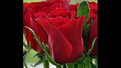 Добро утро с Лунната соната !!