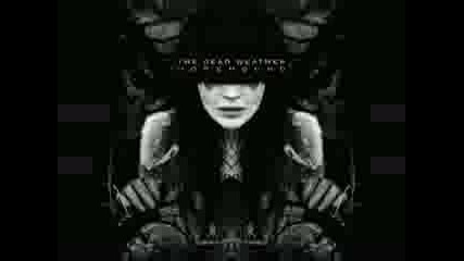 The Dead Weather - Treat Me Like Your Mother