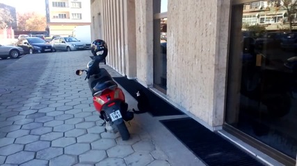 Котка Краде Каска От Мотор