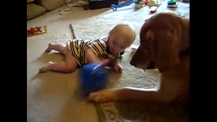 Смях !!! Дете си играе с куче