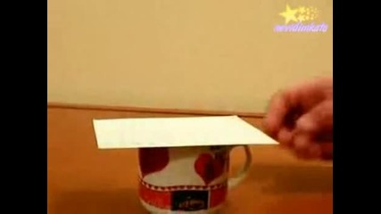 Много як номер за колегата в офиса 