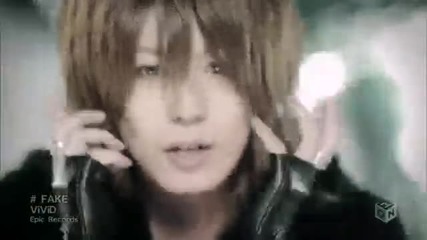 Vivid - Collection