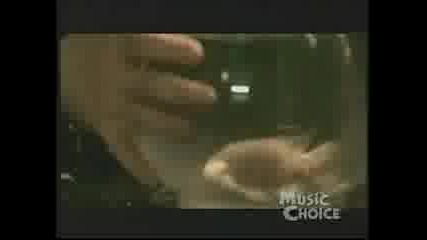 Disturbed - Stupify