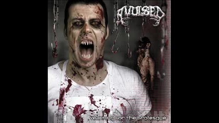 Avulsed - Foetivorous Marriage (yearning For The Grotesque 2003) 