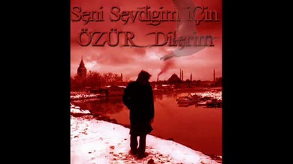 Ercan Demirel - Seviyorum Seni Anla