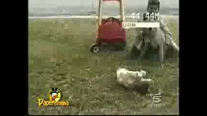Много Смешни Бебета!