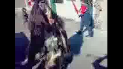 25022012040