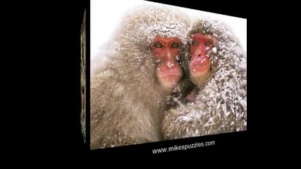 National Geographic снимките на 2007