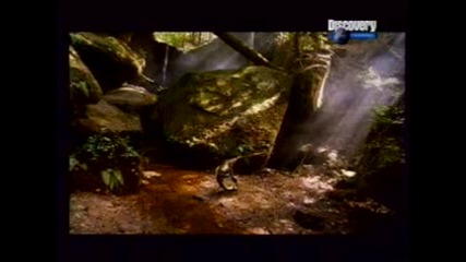 Discovery Channel - Когато динозаврите живяха
