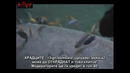 Когато хипопотамите летяха.