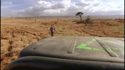 Mission Africa - Zebra Tracking - Bbc