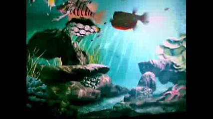 Aquatopia