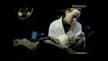 Discovery Channel Song Boom - De - Yada 