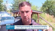 Заловиха шофьор с 4,60 промила алкохол в София