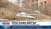 Аварийни екипи в София отстраняват щети от ураганния вятър