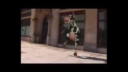 You Like The Way I Moo