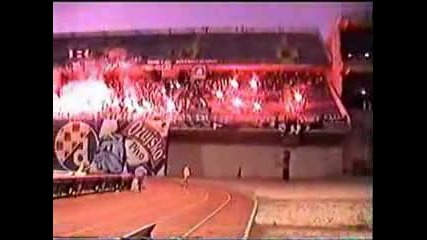 Bad Blue Boys Hooligans