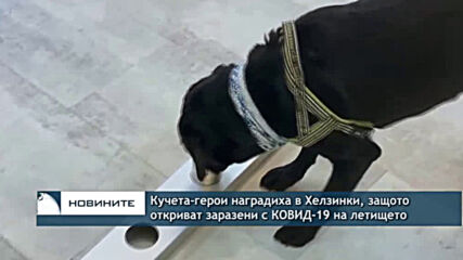 Кучета-герои наградиха в Хелзинки, защото откриват заразени с КОВИД-19 на летището