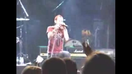 Camp Freddy & Friends-Paradise City